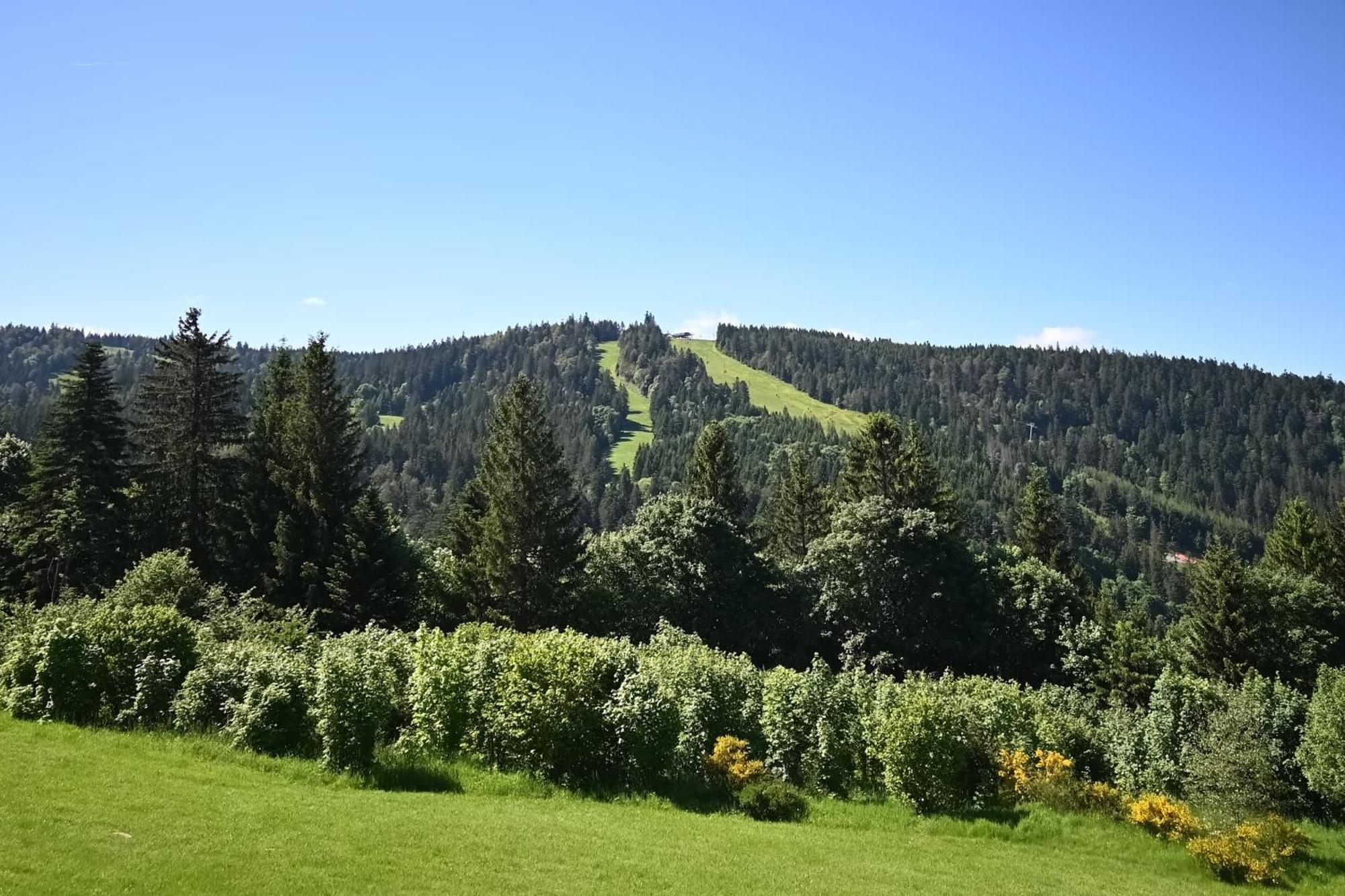 Le Nid Des Vosges - Appt Vue Montagne Lejlighed Gérardmer Eksteriør billede